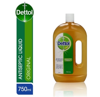 滴露消毒液 DETTOL antiseptic liquid