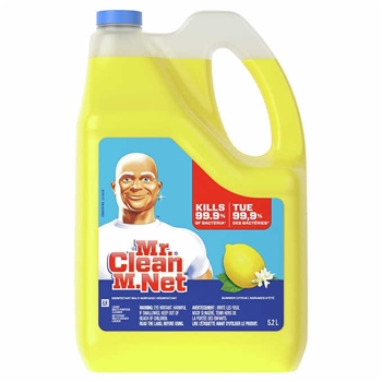 多功能清洁剂 MR. CLEAN all purpose cleaner