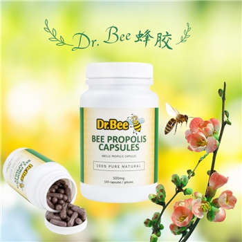 蜂胶(胶囊) Dr. Bee Propolis Capsules 500mg