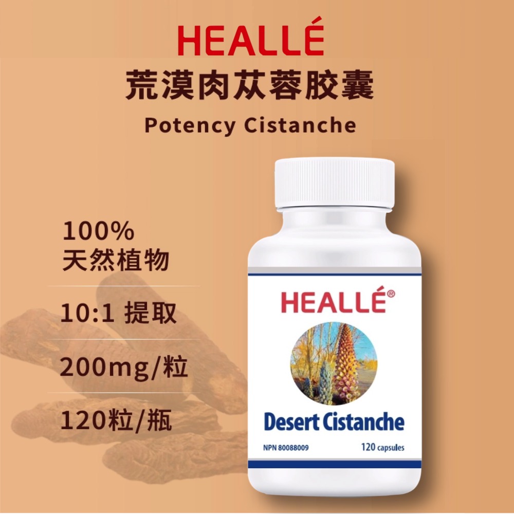 稿定设计-1.jpg
