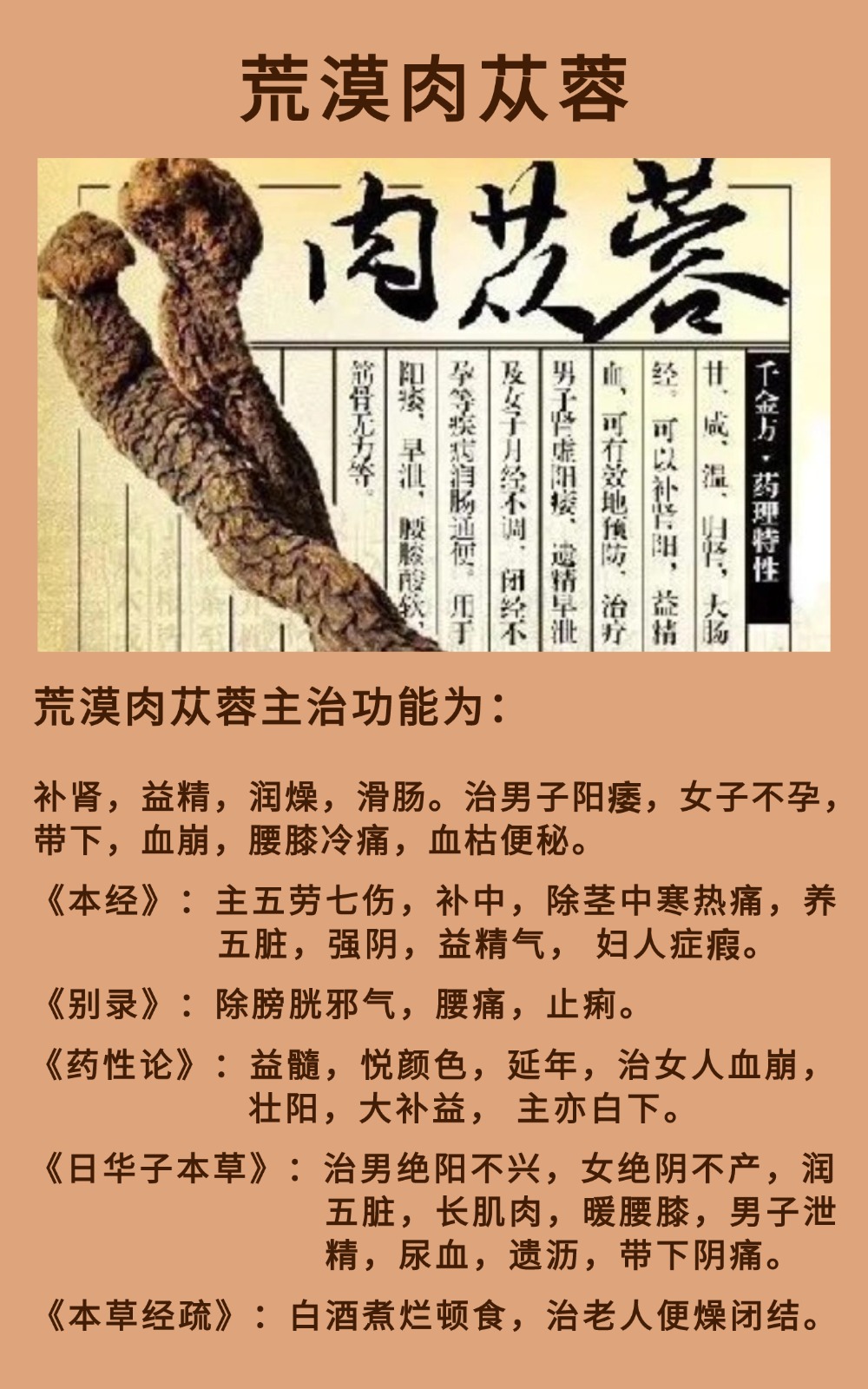 稿定设计-4.jpg