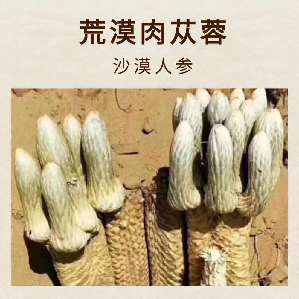稿定设计-2.jpg